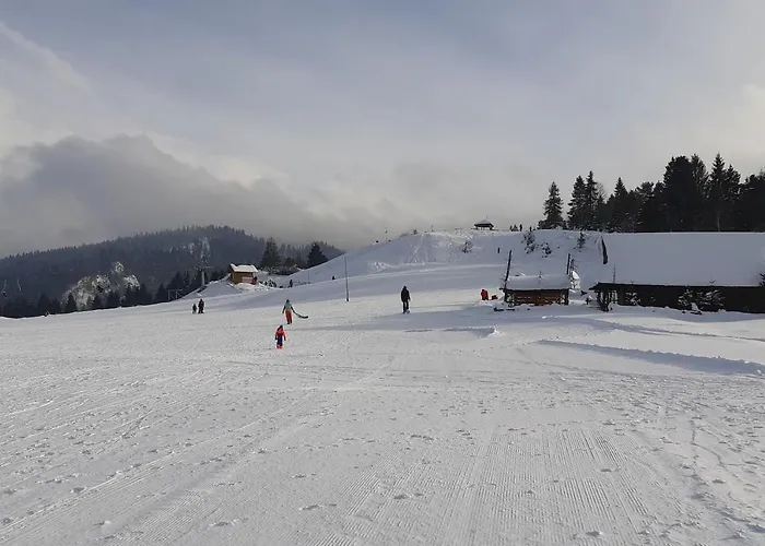 Karpatka